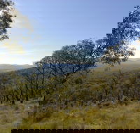 Bunyip State Park - Accommodation Brunswick Heads