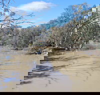Bush Tucker Trail - Accommodation Brunswick Heads
