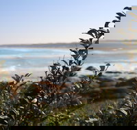 Cape Conran Coastal Park - Accommodation Brunswick Heads