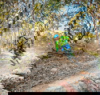 Castle Hill Blackstone Reserve - Accommodation Brunswick Heads