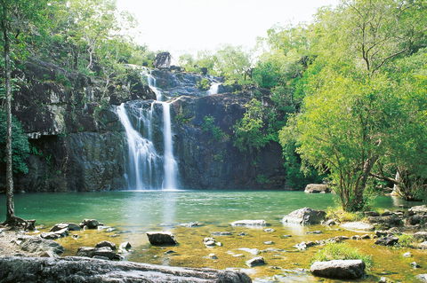 Cedar Creek Falls - Accommodation Brunswick Heads 0