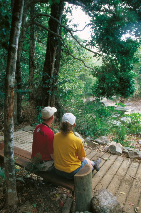 Cedar Creek Falls - Accommodation Brunswick Heads 1