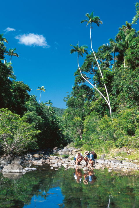 Cedar Creek Falls - Accommodation Brunswick Heads 2