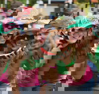 Chinchilla - Accommodation Brunswick Heads