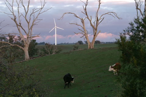 Crookwell Wind Farm - Accommodation Brunswick Heads 1