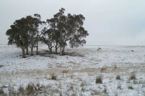 Crookwell Wind Farm - Accommodation Brunswick Heads 2