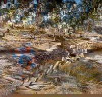 Cycle Mogo State Forest - Accommodation Brunswick Heads