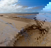 Edmund Kennedy Girramay National Park - Accommodation Brunswick Heads