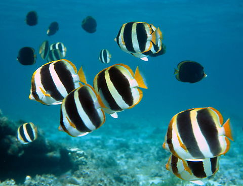 Erscott's Hole - Accommodation Brunswick Heads 1