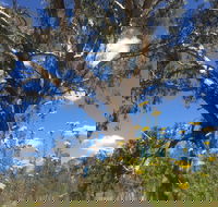 Euroa Arboretum - Accommodation Brunswick Heads