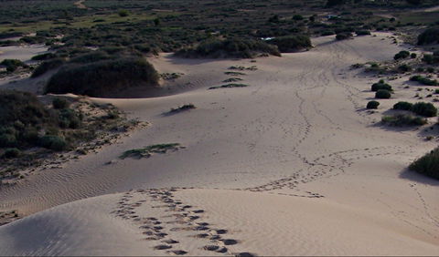 Foreshore Walk, Mungo National Park - Accommodation Brunswick Heads 0