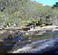 Frere's Crossing Bushwalk - Accommodation Brunswick Heads