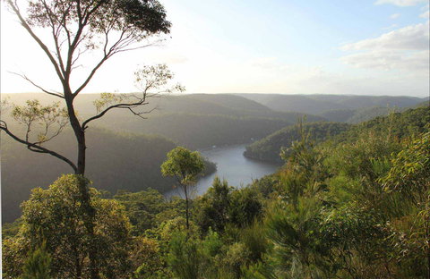 Great North Walk - Berowra Valley National Park - Accommodation Brunswick Heads 0