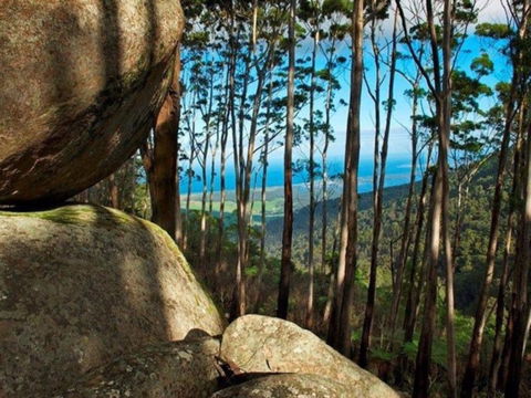 Gulaga Mountain Walk - Accommodation Brunswick Heads 0