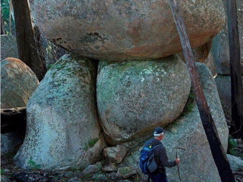Gulaga Mountain Walk - Accommodation Brunswick Heads 1