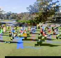 Hello Koalas Sculpture Trail - Accommodation Brunswick Heads