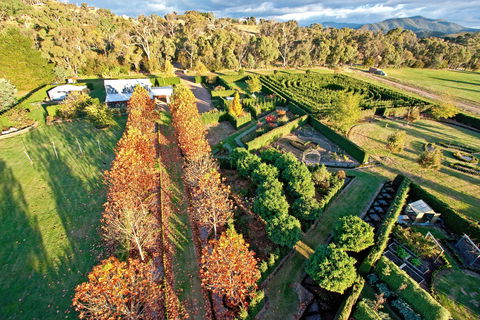 High Country Maze - Accommodation Brunswick Heads 1