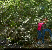 Iluka Rainforest Walking Track - Accommodation Brunswick Heads