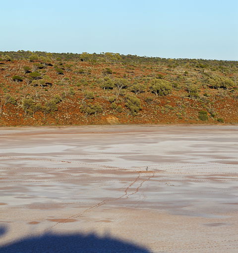 Inside Australia - Antony Gormley Sculptures - Accommodation Brunswick Heads 0