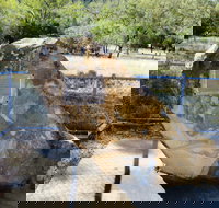 John Oxley Monument - Accommodation Brunswick Heads