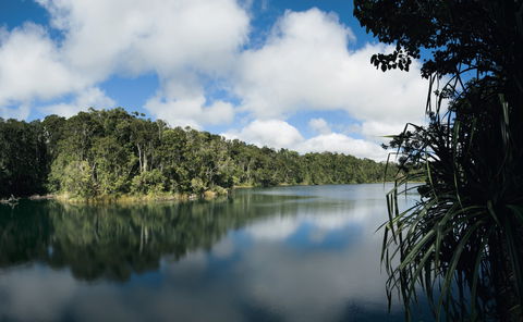 Lake Eacham, Crater Lakes National Park - Accommodation Brunswick Heads 0