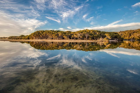 Lashmar Conservation Park - Accommodation Brunswick Heads 0