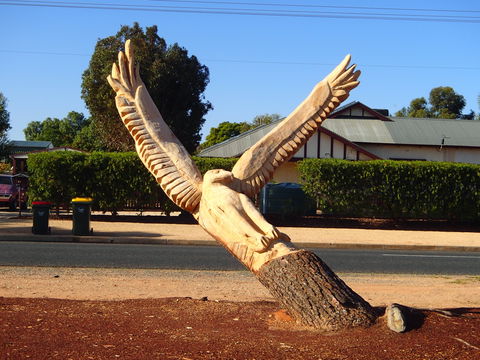 Loxton Tree Sculptures - Accommodation Brunswick Heads 0
