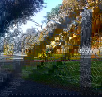 Mansfield Botanic Park - Accommodation Brunswick Heads