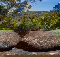 Marramarra Ridge to Smugglers Ridge walking track - Accommodation Brunswick Heads