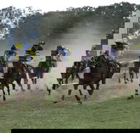 Mendooran - Accommodation Brunswick Heads