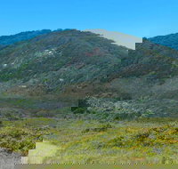 Monument Hill Walking Track - Accommodation Brunswick Heads