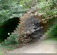 Mushroom Tunnel - Accommodation Brunswick Heads