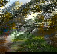 North Western Fishing Trail - Accommodation Brunswick Heads