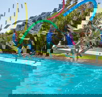 Oaklands War Memorial Swimming Pool - Accommodation Brunswick Heads