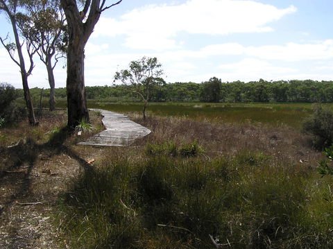 Penola Conservation Park - Accommodation Brunswick Heads 0