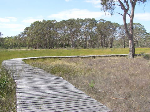 Penola Conservation Park - Accommodation Brunswick Heads 1