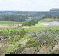 Princess Hills Girringun National Park - Accommodation Brunswick Heads