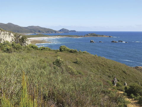 Rocky Cape National Park - Accommodation Brunswick Heads 1