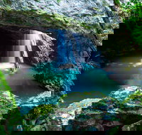 Springbrook - Accommodation Brunswick Heads