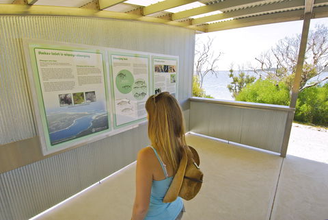 Stokes National Park - Accommodation Brunswick Heads 1