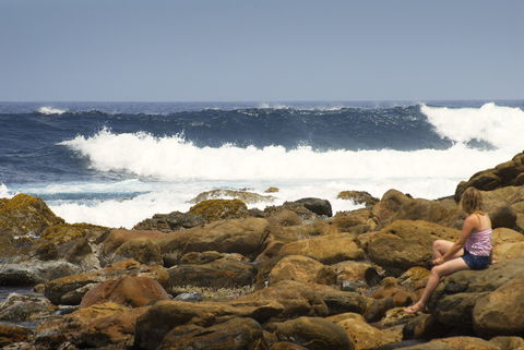 Stokes National Park - Accommodation Brunswick Heads 2