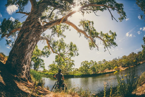 Sturt Gorge Recreation Park - Accommodation Brunswick Heads 0