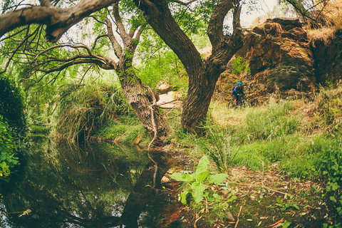 Sturt Gorge Recreation Park - Accommodation Brunswick Heads 1