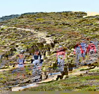 The Sole Walk at Hillocks Drive - Accommodation Brunswick Heads