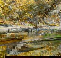 Warrabah National Park - Accommodation Brunswick Heads