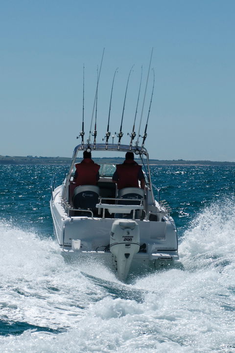 Western Port - Accommodation Brunswick Heads 1