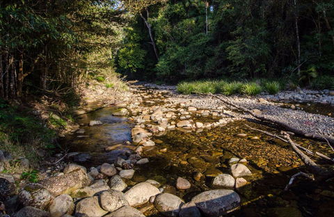 Wilson River Picnic Area - Accommodation Brunswick Heads 0