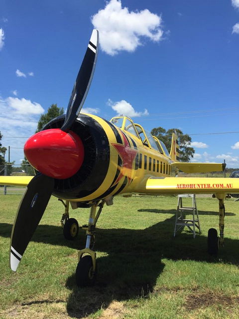 Aerohunter - Accommodation Brunswick Heads 0