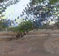 Alexander Forest Memorial - Accommodation Brunswick Heads