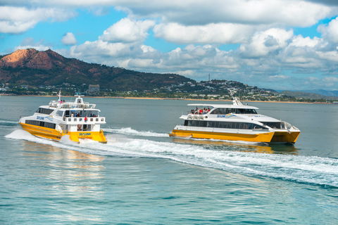 Apex Camps Magnetic Island Group Accommodation, Activities And Events - Accommodation Brunswick Heads 0